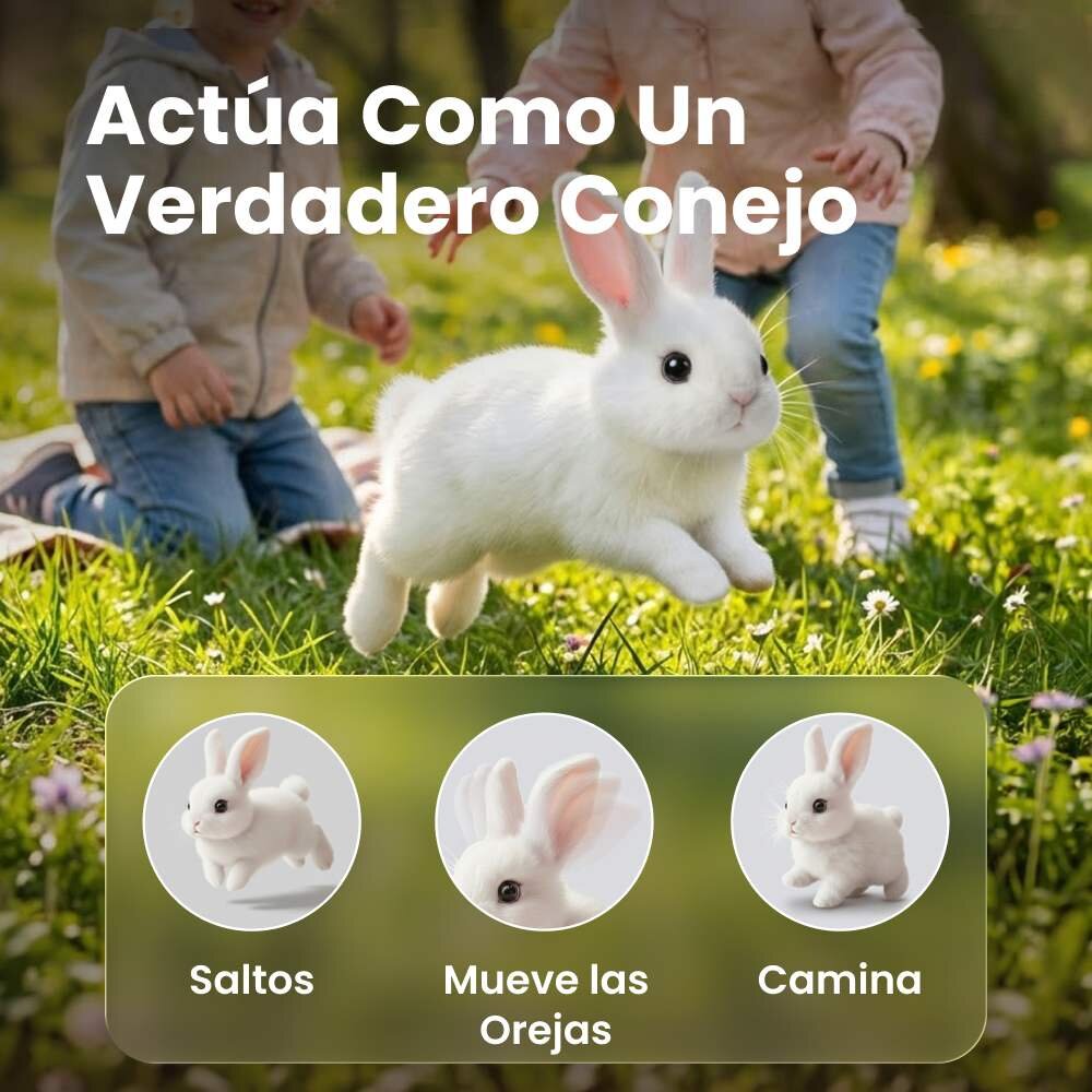 Hoppsy image